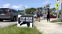 FWC weighs ‘Bear Hunt’ as people on both sides speak out